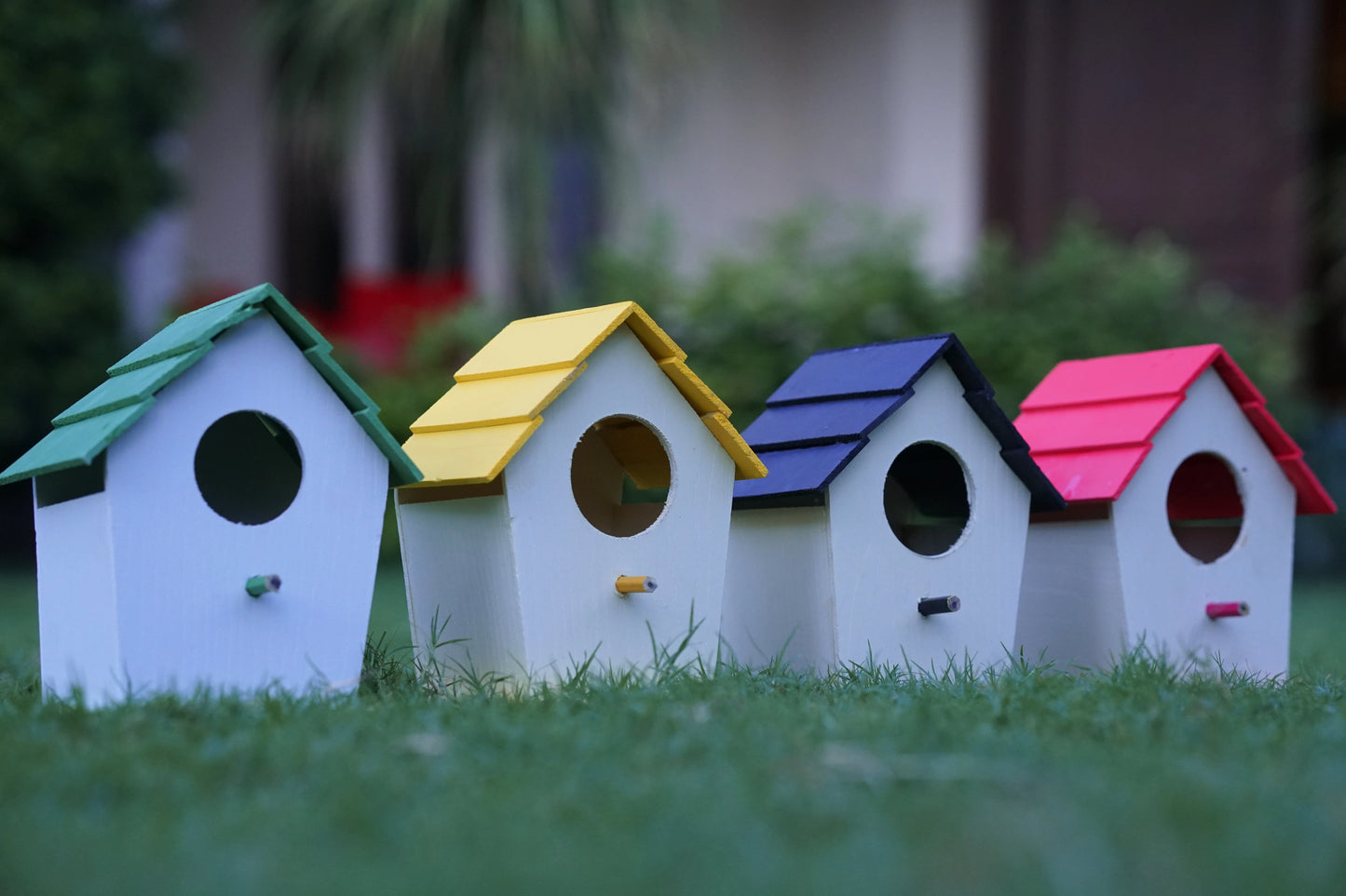 (Pack Of 4) PVC Bird House Waterproof Plain