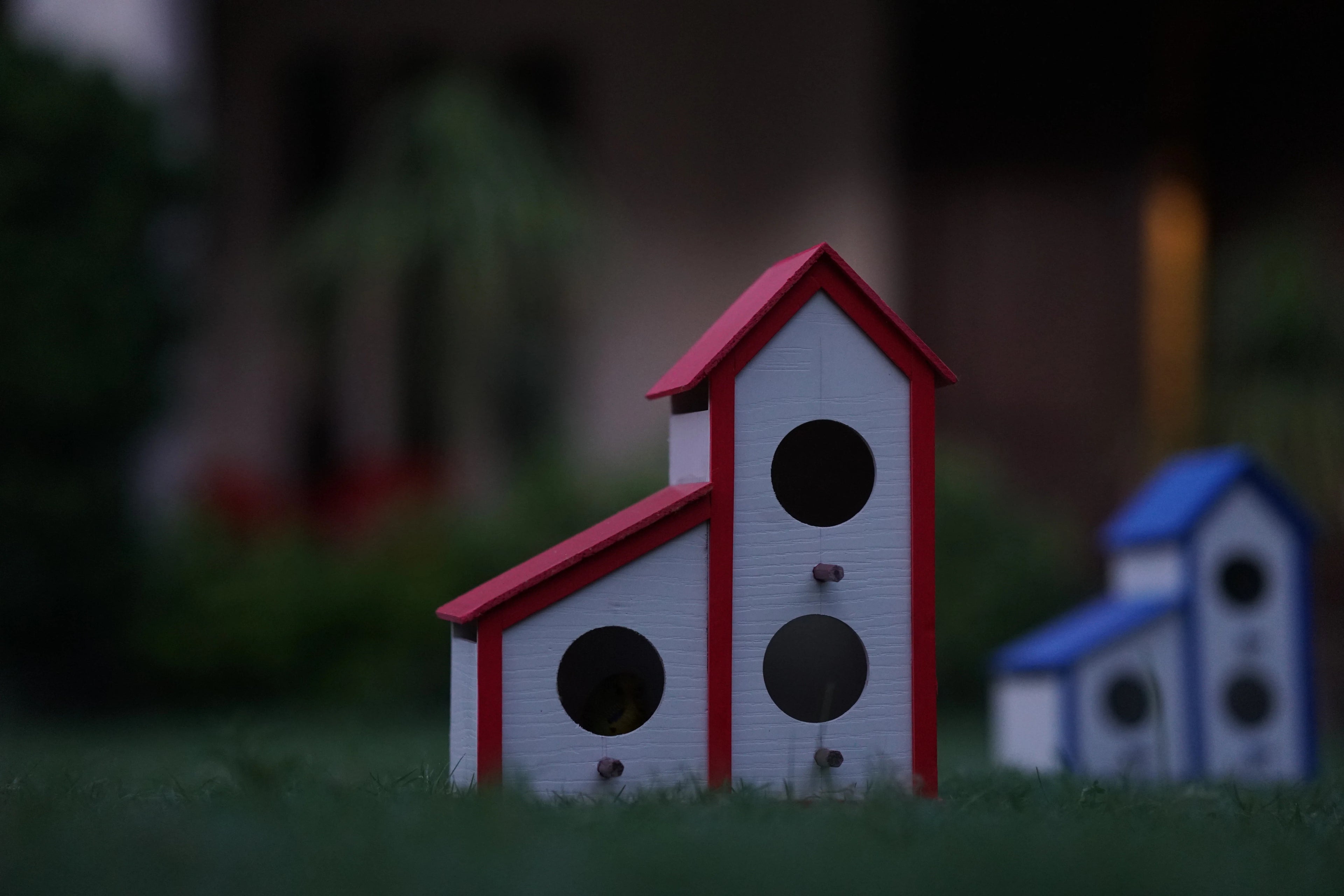 3 in 1 Colony Bird house